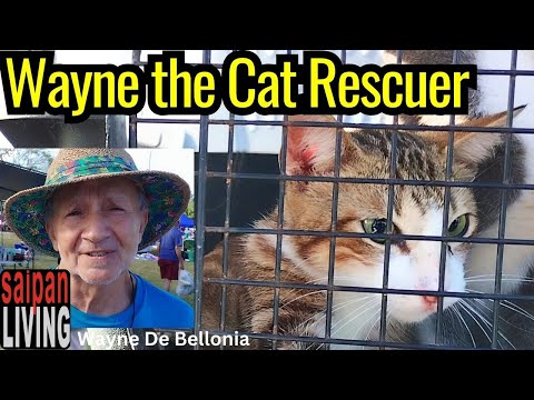 Meet Wayne, the Cat Rescuer of Saipan!!