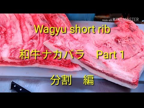 【Wagyu short rib】和牛ナカバラPart1、小割編、ミートのマエダ