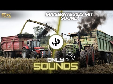 Maisernte 2023, Case 1255XL vor Tridem Krampe! SOUND! || JP Agrar