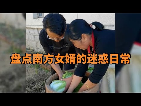 盘点南方女婿的迷惑日常,这是一句也听不懂啊