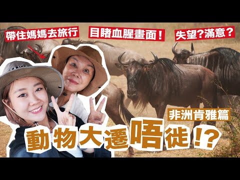 帶住啊媽闖非洲－肯雅篇🦁｜動物大遷「唔」徙！？🐃｜當地人想娶我返屋企？😱｜親眼目睹血腥場面😱🩸 Knetawong🍐【怒母遊🔥】