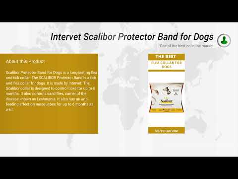 Intervet Scalibor Protector Band for Dogs