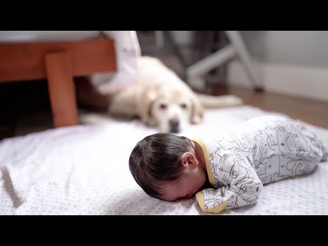 Intimate moments with our newborn baby and dogs