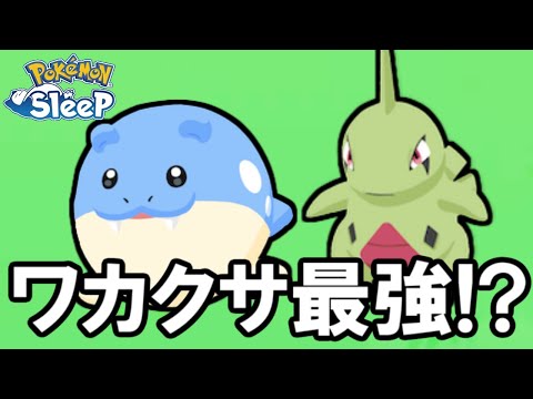 あれ？ワカクサ、もしかして強い・・・？【ポケモンスリープ】