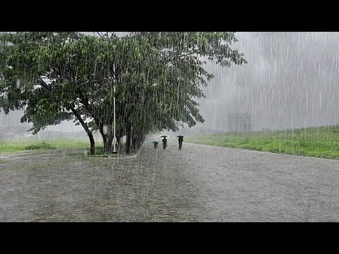 Heavy rain in my village | heavy rain and thunderstorms | Sleep instantly with the sound of rain