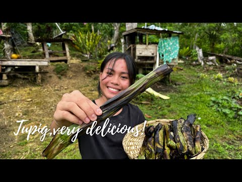 A boholana try to make "Tupig Pangasinan" murag gisugba nga Alupi - CountrysideLife, Philippines