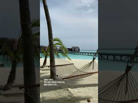 Relax at Conrad Maldives Rangali Island #shorts