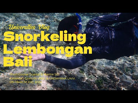 4K Nusa Lembongan - Snorkeling Udayana University and KGU - Short Course Coastal and Marine Science