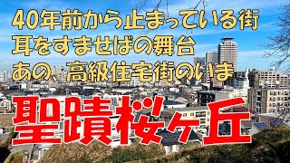 【聖蹟桜ヶ丘】多摩の田園調布と呼ばれた街の今とこれから