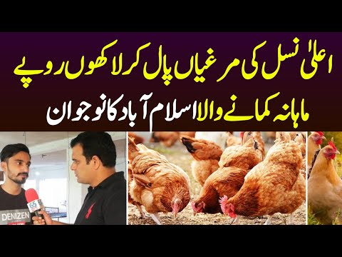 Murghian Paal Kar Lakhon Rupaye Kamane Wala Naujawan | Desi Murghi Farm | Chicken Farming | Hen Farm