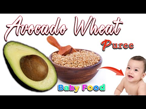 Avocado Wheat Puree for Babies || WEIGHTGAIN BABY FOODs || Avocado Puree || 6months plus Baby food