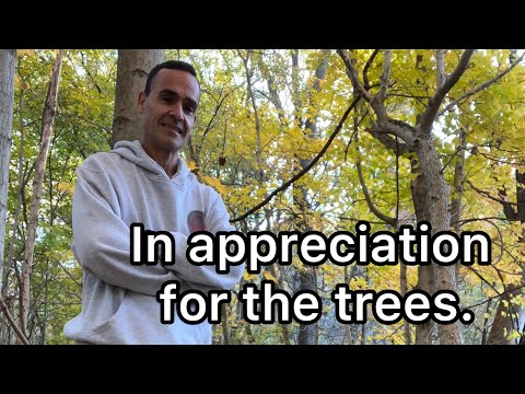 In recognition of the trees and what we can learn from them.