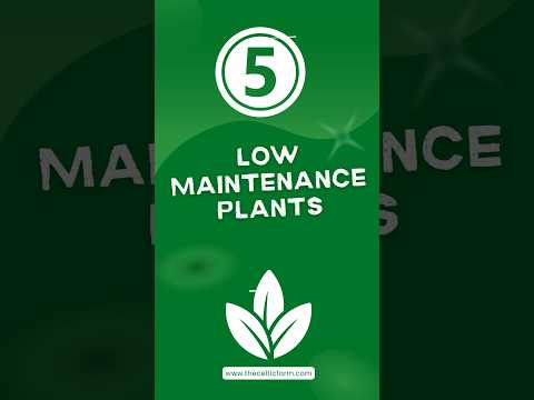 Top 5 Low Maintenance Plants for Easy Gardening 🌱  #gardeningadvice  #gardeningtips #gardenwisdom