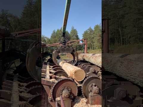 Debarking #sawmill #woodbusiness #woodworking #woodmachinery #woodprocessing #woodwork #woodfactory