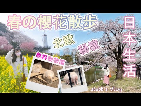 (ENG SUB CC)Cherry Blossoms🌸Japan 2022 Spring Walk ｜Japan's Garden Scenery｜Japan VLOG