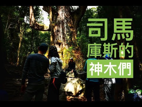 上帝的部落『司馬庫斯』 | 大老爺神木 | 桃園最高峰-雪白山 | 西丘斯山 | 東丘斯山 | 登山 | 雪白營地露營