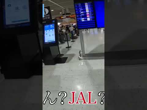 やっとたどり着いた成田空港でターミナルを間違えた😭果たしてハワイには辿り着けるのか？#ひとり旅 #海外旅行 #フライングホヌ #50代 #おんなひとり旅 #ana  #シニア旅 #旅行#shorts