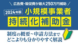 最大250万円補助［2024年版］小規模事業者持続化補助金をどこよりも分かりやすく解説！今回が最終公募の可能性も!?《小さな会社の広告宣伝・ブランディングはBrand Design TSUMIKI》