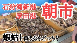 【北海道】今が旬！シャコを買うならお勧めは！？厚田港と石狩湾新港の朝市を比較🧐