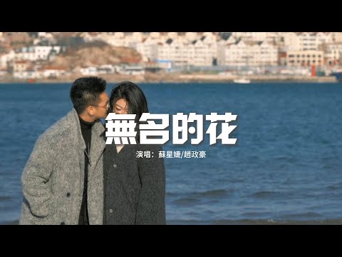 蘇星婕/趙政豪 - 無名的花『盛開在風中無名的花，不懼漫天飛舞的風沙，烈日暴雨之中 綻放年華，哪怕只是一剎那。』【動態歌詞MV】