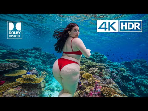 Best 4K Video ULTRA HD 120 FPS - 4K HDR Dolby Vision