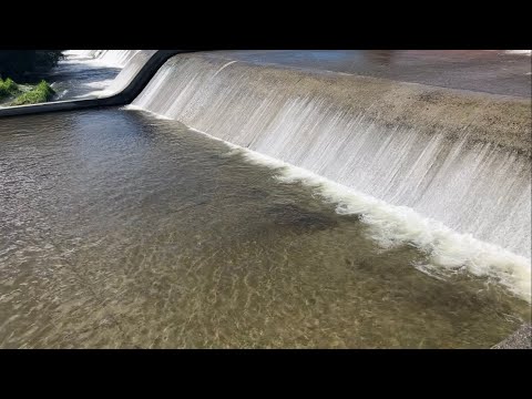 水門は釣れる