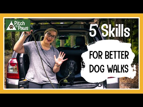 5 ESSENTIAL DOG WALKING SKILLS | Easy tricks that make walking your dog OFF THE LEAD more ENJOYABLE