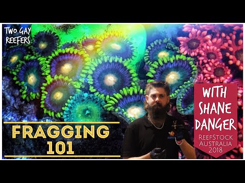 Fragging 101 with Shane Danger at ReefStock Australia 2018 - Frag Demo with Zoas, Monti, Acro & More