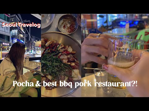 [my 서울 T-Log] Best BBQ Pork Belly!🤤 | Pocha | A bird in a cafe?!