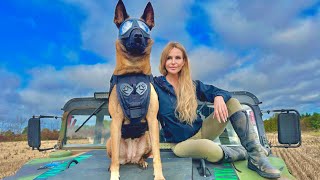 THE BELGIAN MALINOIS -  MEET ULTIMATE SUPER SOLDIER DOG - 'SCARLETT'