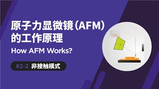 非接触模式 | 原子力显微镜如何运作 | How AFM Works