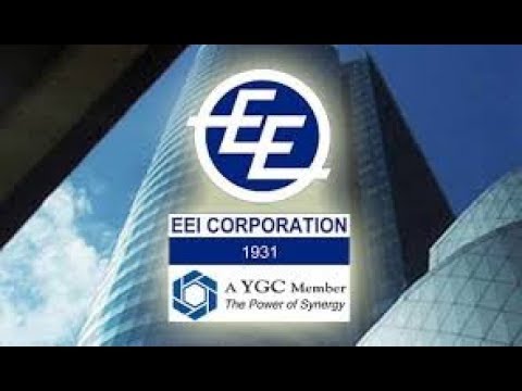 Synopsis of EEI Corporation