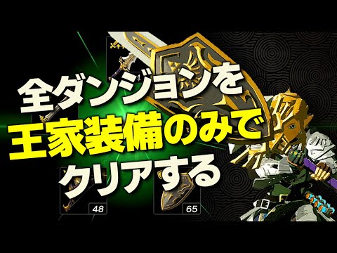 オールダンジョン装備縛り攻略解説『王家装備編』【ゼルダの伝説 ティアーズ オブ ザ キングダム】