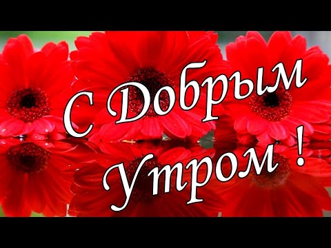 С ДОБРЫМ УТРОМ !🌼Желаю Самого Доброго Солнечного Утра!🌼  Шикарная Музыкальная открытка 🌼