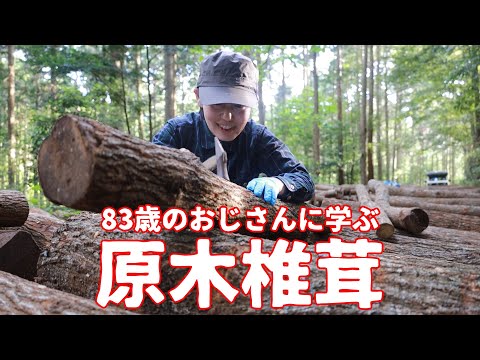 【知らない椎茸の世界】趣味の範囲を超えてる達人と椎茸山へ