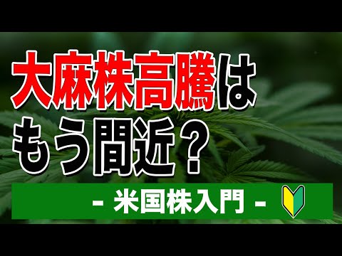 大麻株高騰はもう間近？｜米国株入門【海外株投資チャンネル】