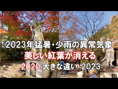 【ひろじぃの気まま旅】天王院の紅葉2023