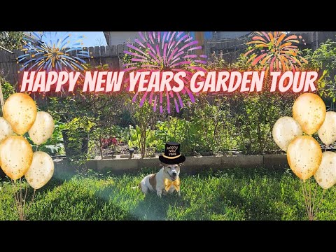 January Garden Tour 2025, Happy 2025 || DHBG