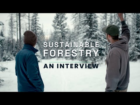 What Foresters REALLY Do | Interview with Matt Bishop, Forester with F.H. Stoltze Land & Lumber Co