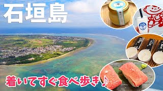 [ 沖縄県・石垣島・与那国島・小浜島　八重山3島巡りの旅 ]　#1 関西空港から 737-800で新石垣空港へ　到着後は石垣島グルメ食べまくり