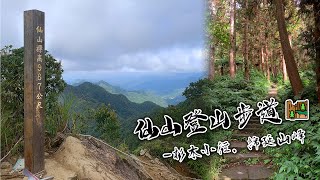 苗栗獅潭｜仙山登山步道｜穿過杉木小徑．遠眺綿延山峰