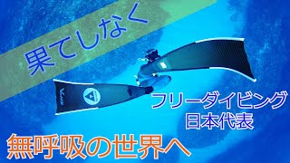 【free divingフリーダイビング日本代表選手と満喫】フリーダイビング日本代表選手と美しい多良間島の海を楽しんできた☆