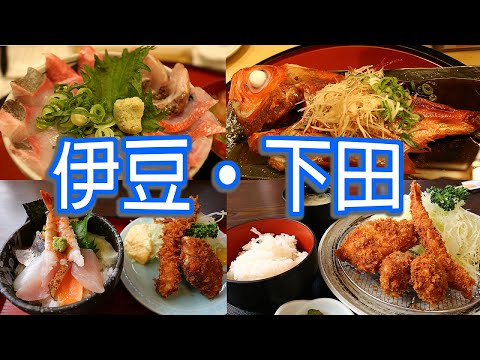 東京自由行Vlog--海鮮自由的海港城市，黑船事件的發生地! #廖排GiveMe5 #LPGM5 #開國廚房 #金目鯛料理 #寢姿山 #Ropeway #黑船