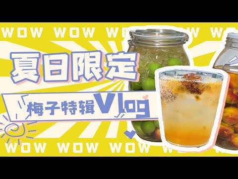 【漫笙】和我一起过一个梅子味的夏天｜梅子露/梅酒制作vlog～