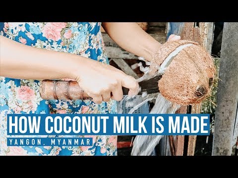 How Coconut Milk Is Made in Yangon, Myanmar | Plant-Based Vegan Travel 🥛