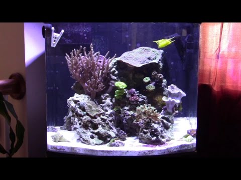 Major Upgrade for the JBJ 24 Gallon Nano