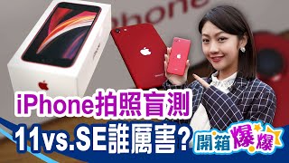 iPhone SE對決iPhone 11拍照盲測! 300位網友票選 11竟然輸了!│韻羽