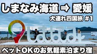 【犬連れ旅行】チワワ2匹と2泊3日のドライブ旅‼︎ワンコと泊まれるアメリカンスタイルのロードサイドホテル旅籠屋に宿泊