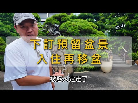 獨一無二的創作｜最具特色的盆景#台灣銘園 #台灣銘園園藝事業有限公司 #園藝