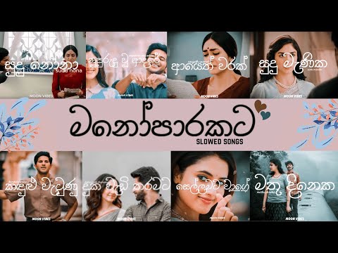 මනෝපාරකට සින්දු Slowed songs best nonstop Sinhala songs playlist | Sinhala slowed songs